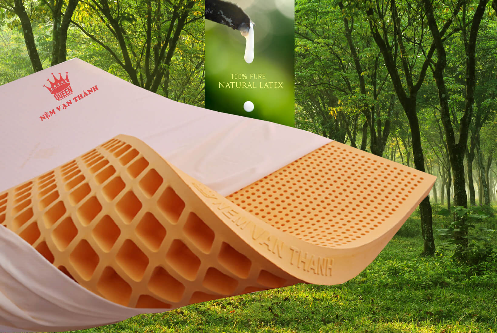 dem_cao_su_van_thanh_standard_6